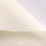 Craft paper 120: 1 roll size: 58x731cm